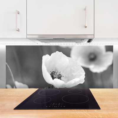 Painel vidro cozinha Papoulas Plantam Natureza