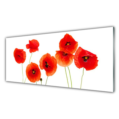 Painel vidro cozinha Papoulas Plantam Natureza