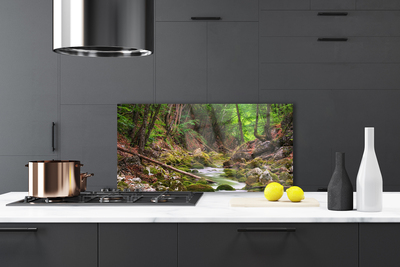 Painel vidro cozinha Natureza do musgo da floresta