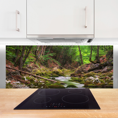 Painel vidro cozinha Natureza do musgo da floresta