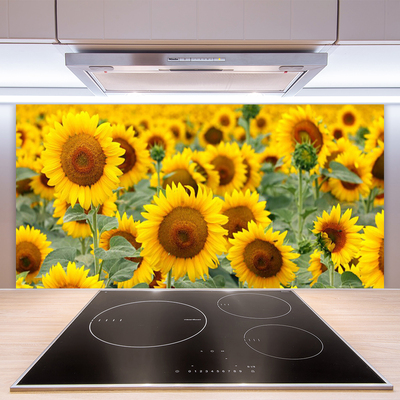 Painel cozinha Girassóis Plantam Natureza