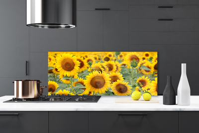 Painel cozinha Girassóis Plantam Natureza