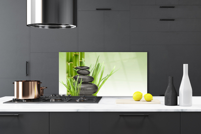 Painel vidro cozinha Planta de grama de bambu Natureza