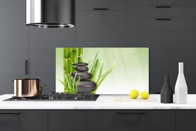 Painel vidro cozinha Planta de grama de bambu Natureza