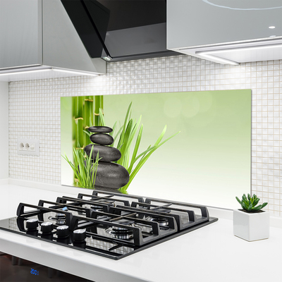 Painel vidro cozinha Planta de grama de bambu Natureza