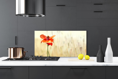 Painel vidro cozinha Papoulas Plantam Natureza