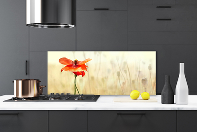Painel vidro cozinha Papoulas Plantam Natureza