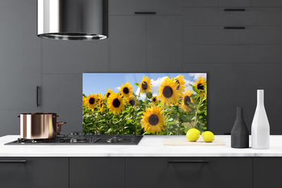 Painel cozinha Planta de flor de girassol