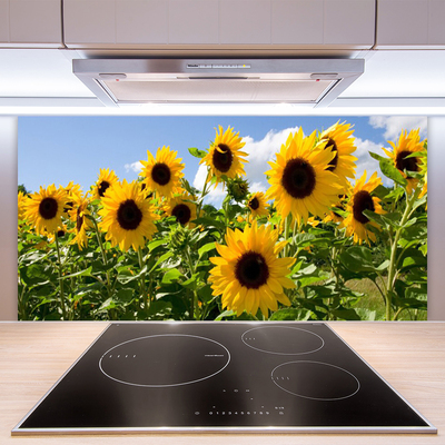 Painel cozinha Planta de flor de girassol