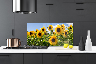 Painel cozinha Planta de flor de girassol