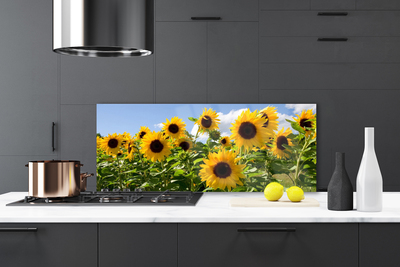 Painel cozinha Planta de flor de girassol