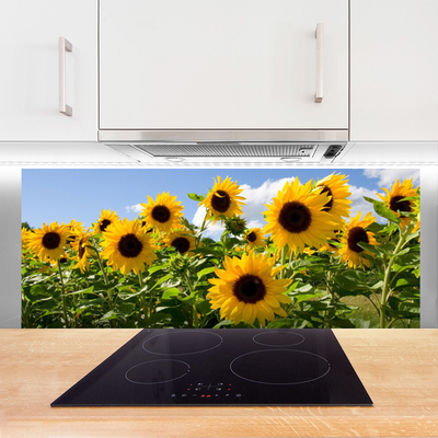 Painel cozinha Planta de flor de girassol