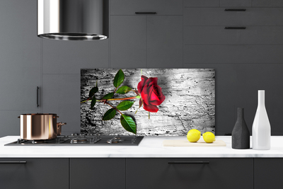 Painel vidro cozinha Rosa Flor Planta Natureza