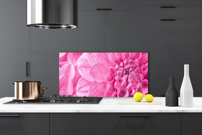 Painel cozinha Flores Planta Natureza
