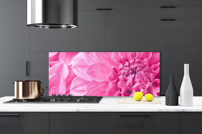 Painel cozinha Flores Planta Natureza