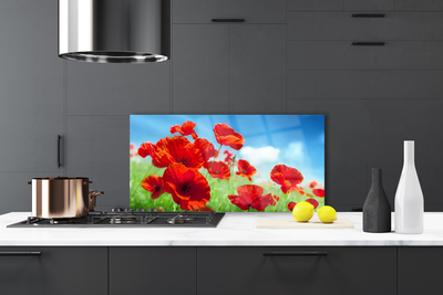 Painel vidro cozinha Papoulas Plantam Natureza