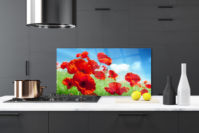 Painel vidro cozinha Papoulas Plantam Natureza