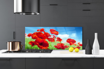 Painel vidro cozinha Papoulas Plantam Natureza