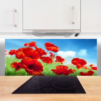 Painel vidro cozinha Papoulas Plantam Natureza