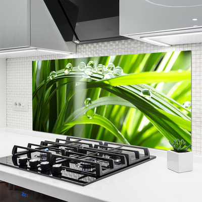 Painel cozinha Planta de gotas de orvalho de grama