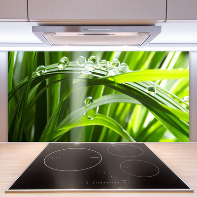 Painel cozinha Planta de gotas de orvalho de grama
