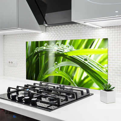 Painel cozinha Planta de gotas de orvalho de grama