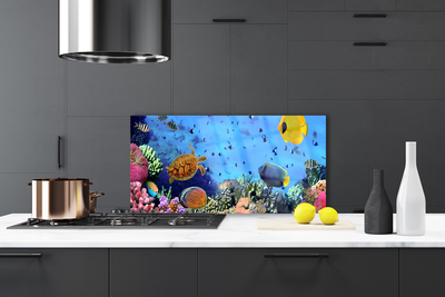 Painel cozinha Natureza dos recifes de corais