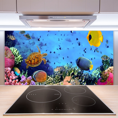 Painel cozinha Natureza dos recifes de corais