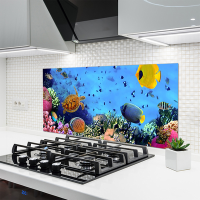 Painel cozinha Natureza dos recifes de corais