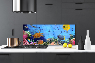 Painel cozinha Natureza dos recifes de corais