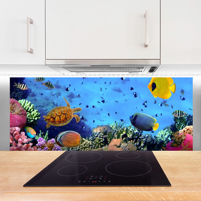 Painel cozinha Natureza dos recifes de corais