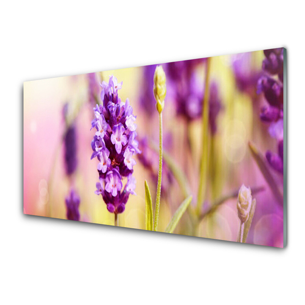 Painel vidro cozinha Flores Planta Natureza