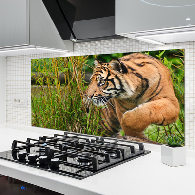 Painel vidro cozinha Animais Tigres