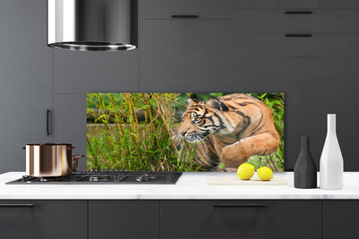 Painel vidro cozinha Animais Tigres