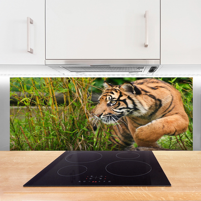 Painel vidro cozinha Animais Tigres