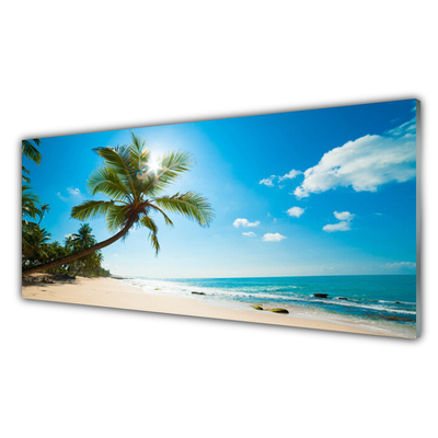 Painel cozinha Paisagem da Praia das Palmeiras