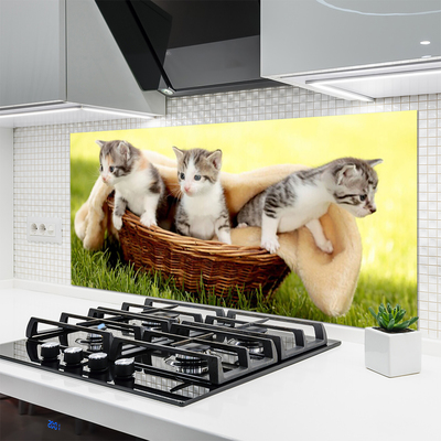 Painel vidro cozinha Gatos Animais