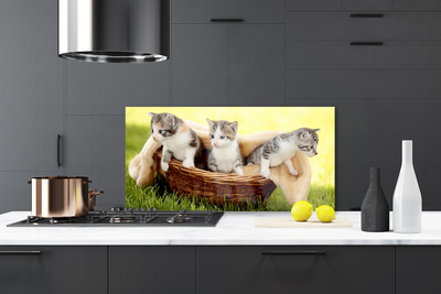 Painel vidro cozinha Gatos Animais