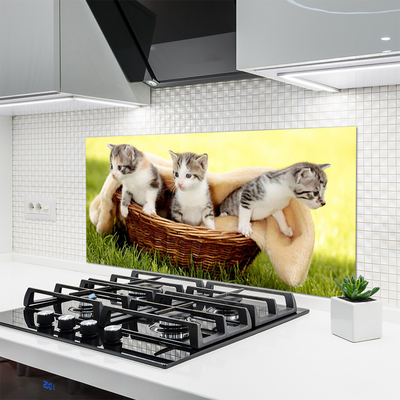 Painel vidro cozinha Gatos Animais