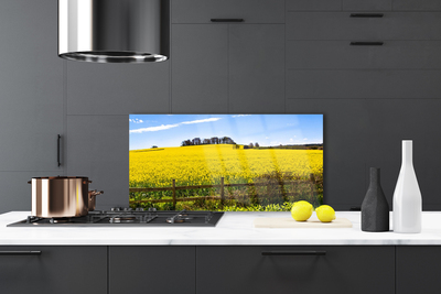 Painel vidro cozinha Paisagem de plantas de campo