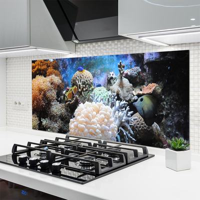 Painel vidro cozinha Natureza dos recifes de corais