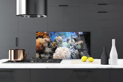 Painel vidro cozinha Natureza dos recifes de corais
