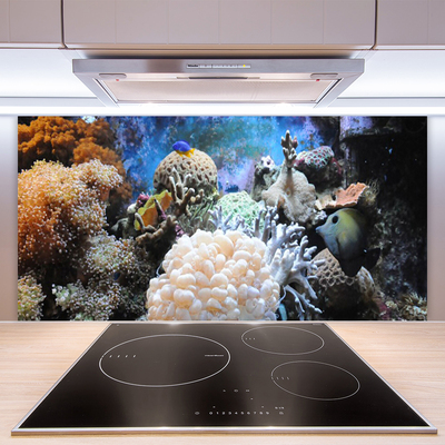 Painel vidro cozinha Natureza dos recifes de corais