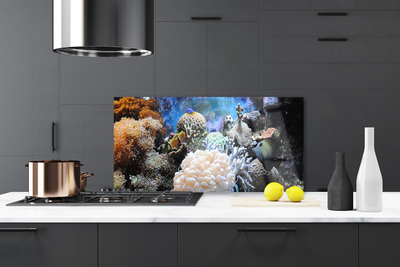 Painel vidro cozinha Natureza dos recifes de corais