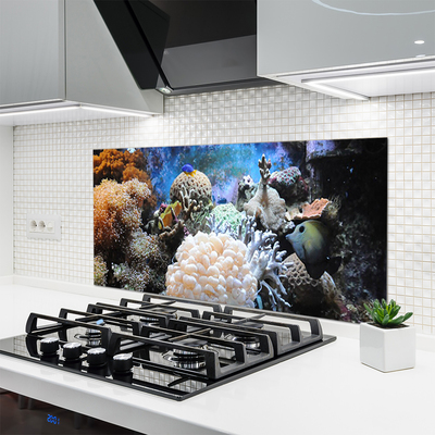 Painel vidro cozinha Natureza dos recifes de corais