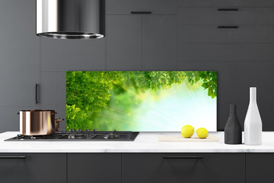 Painel cozinha Folhas Natureza Planta