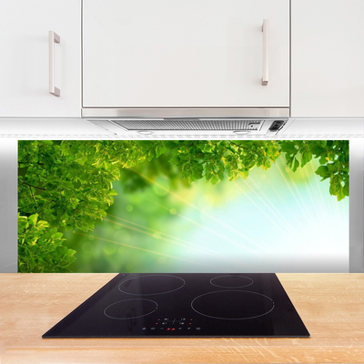 Painel cozinha Folhas Natureza Planta