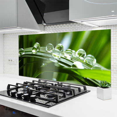 Painel cozinha Planta de gotas de orvalho de grama