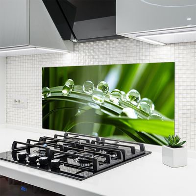 Painel cozinha Planta de gotas de orvalho de grama