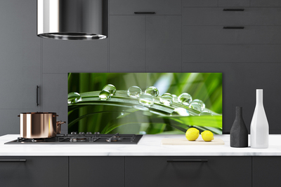 Painel cozinha Planta de gotas de orvalho de grama